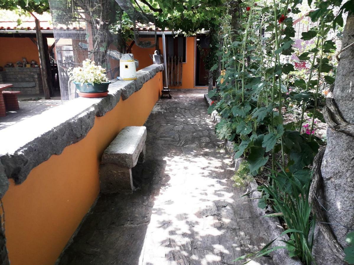 Quinta Da Moagem Villa Macedo de Cavaleiros Buitenkant foto